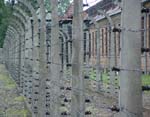 Auschwitz3